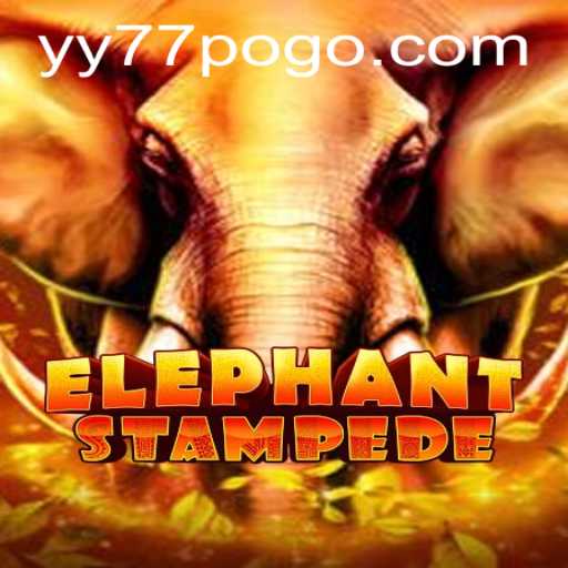 Unveiling ElephantStampede: A Thrilling Adventure with YY77